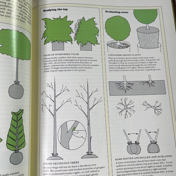 How Grow an Easy Garden Time Life Encyclopedia of Gardening 1978 u - Picture 10 of 10